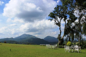 Ancoombra Tea Estate Bungalow